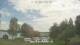 Petting am Waginger See Mi. 17.6.