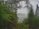 Hoel Pond, New York Do. 18.6.