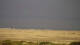 Borkum Do. 18.6.