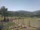 Cantalupo Ligure Do. 18.6.