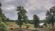 Davidsonville, Maryland Do. 18.6.