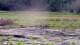 Les Landes-Genusson Do. 18.6.