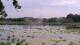 Les Landes-Genusson Do. 18.6.