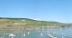 Bingen am Rhein Do. 18.6.