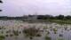 Les Landes-Genusson Do. 18.6.