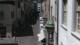 Schaffhausen Fr. 19.6.
