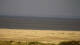 Borkum Fr. 19.6.