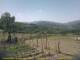 Cantalupo Ligure Fr. 19.6.