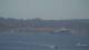 Saint-Tropez Fr. 19.6.