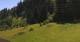 Going am Wilden Kaiser Fr. 19.6.