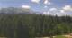 Kranzbach Fr. 19.6.