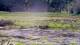 Les Landes-Genusson Fr. 19.6.