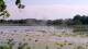 Les Landes-Genusson Fr. 19.6.