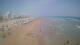 Gandia Fr. 19.6.