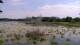 Les Landes-Genusson Fr. 19.6.