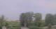 Heringsdorf (Usedom) Fr. 19.6.