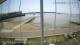 Brightlingsea Fr. 19.6.