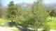 Barcelonnette Sa. 20.6.