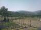 Cantalupo Ligure Sa. 20.6.