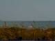 Cape Canaveral, Florida Sa. 20.6.