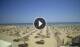 Rimini Sa. 20.6.