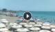 Torre Mozza Sa. 20.6.