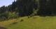 Going am Wilden Kaiser Sa. 20.6.