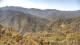 Zhangjiajie Sa. 20.6.