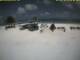 Kuredu Island (Lhaviyani-Atoll) Sa. 20.6.