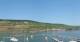 Bingen am Rhein Sa. 20.6.