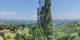 Kitzeck im Sausal Sa. 20.6.