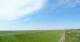 Westerhever Sa. 20.6.