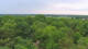 Beelitz Sa. 20.6.