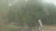 Fairview, Tennessee So. 21.6.