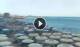 Torre Mozza So. 21.6.