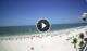 Fort Myers Beach, Florida So. 21.6.