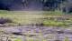 Les Landes-Genusson So. 21.6.