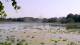 Les Landes-Genusson So. 21.6.