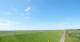 Westerhever So. 21.6.