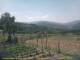 Cantalupo Ligure Mo. 22.6.