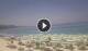 Marina di Zambrone Mo. 22.6.