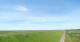 Westerhever Mo. 22.6.