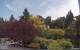 Son en Breugel Di. 23.6.