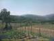 Cantalupo Ligure Di. 23.6.