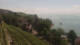 Meersburg Di. 23.6.