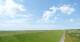 Westerhever Mi. 24.6.