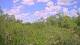 Metairie, Louisiana Fr. 26.6.