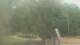 Fairview, Tennessee Fr. 26.6.