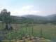 Cantalupo Ligure Sa. 27.6.