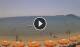 Formia Sa. 27.6.